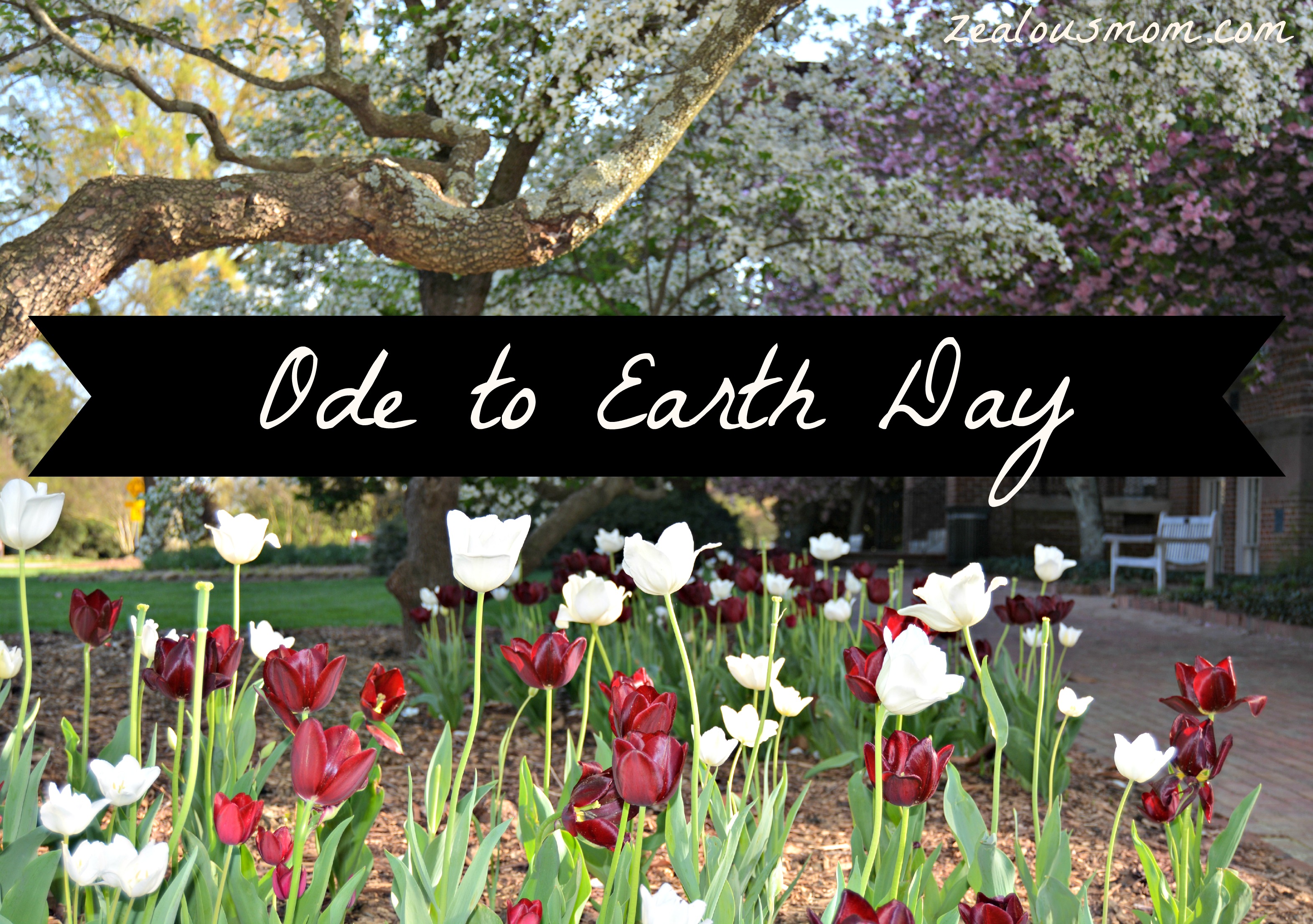 Ode to Earth Day