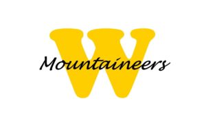 WMS Logo classic