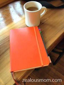Lessons Learned From My First Bullet Journal zealousmom.com