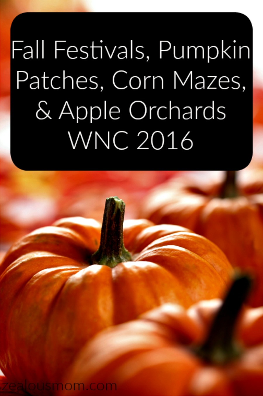 Pumpkin Patches, Apple Orchards, Corn Mazes, and Fall Festivals in WNC #Fall2016